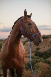 Gaucho Seil am Moveo Seilhalfter