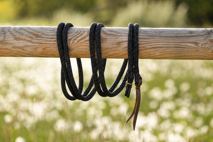 Black — Gaucho rope with gold hardware on a wooden beam