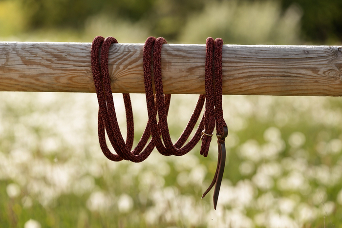 Blackberry — Gaucho rope with gold hardware on a wooden beam
