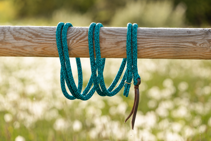 Caribbean — Gaucho rope with gold hardware on a wooden beam