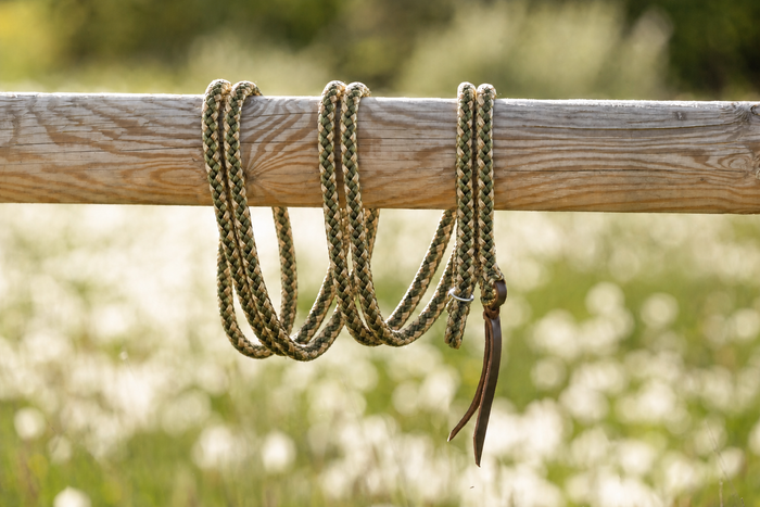 Duoolive — Gaucho rope with silver hardware on a wooden beam