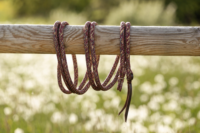 Triberry — Gaucho rope with gold hardware on a wooden beam