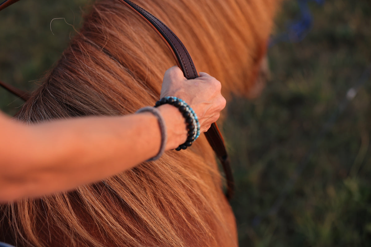Collar de cuello en la mano, primer plano